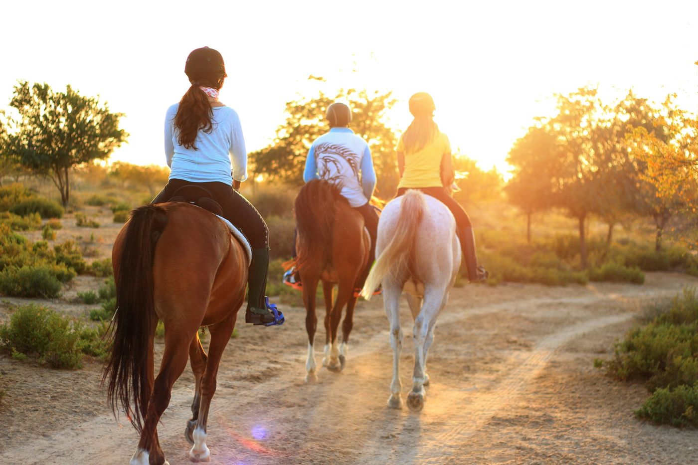 Cavaliers au coucher du soleil