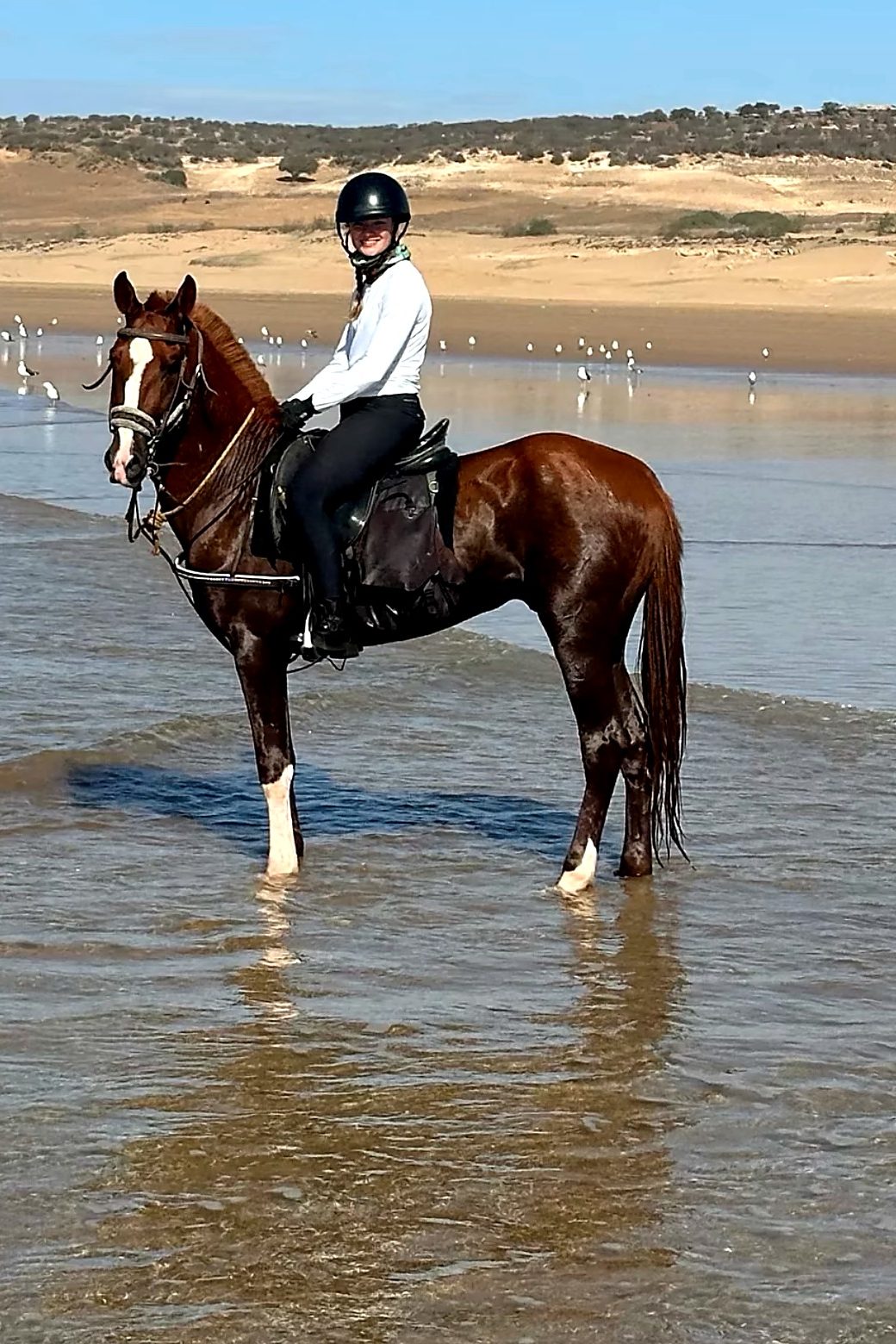 Une cavalière sur un alezan, les pieds dans l'eau