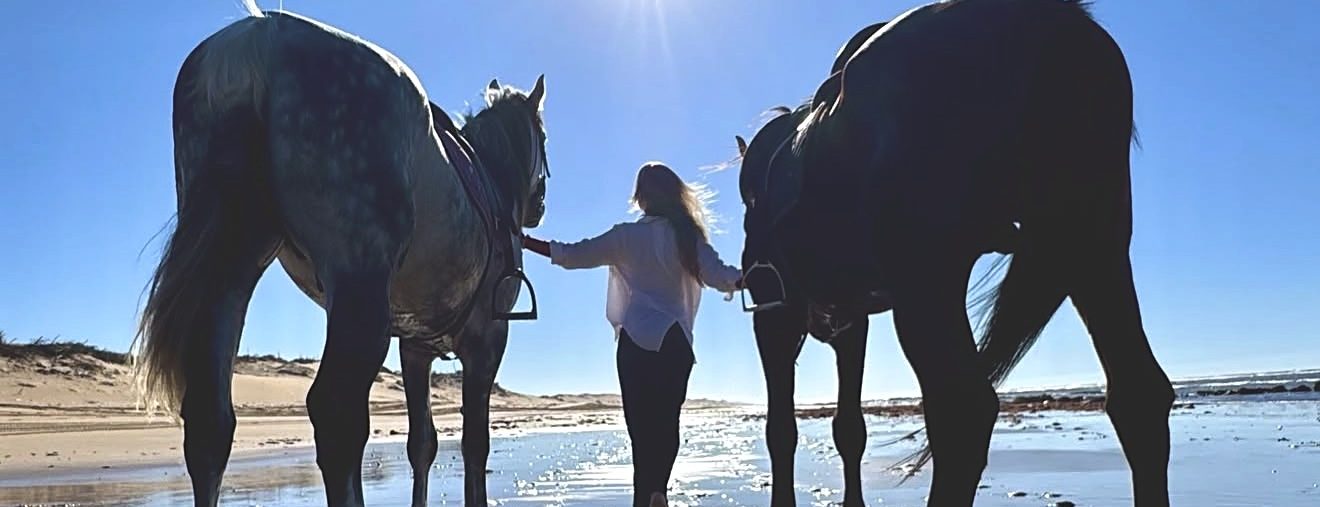 Une cavalière entre ses deux chevaux, face au soleil