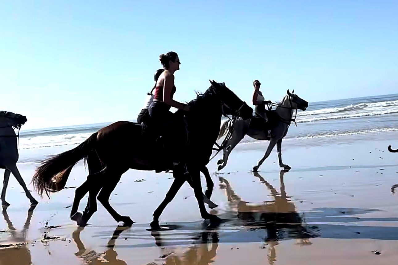 Des cavaliers au galop sur le sable mouillé