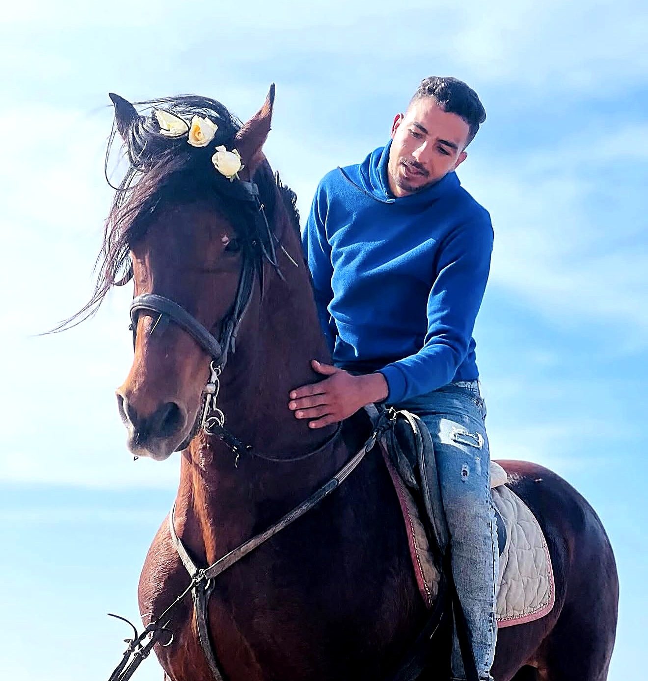 Un guide caresse son cheval bai orné de fleurs